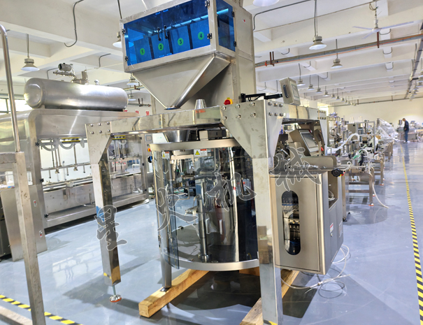 全自動(dòng)給袋式麥片包裝機(jī)實(shí)拍圖